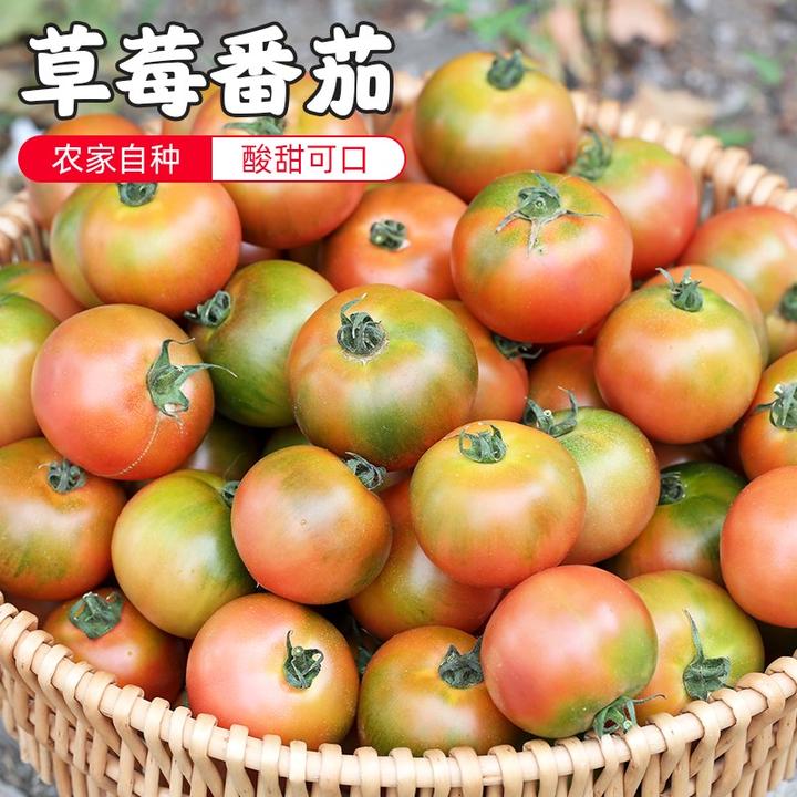 【北京优农】密云密水农家 自然熟西红柿子4斤 生吃 草莓番茄
