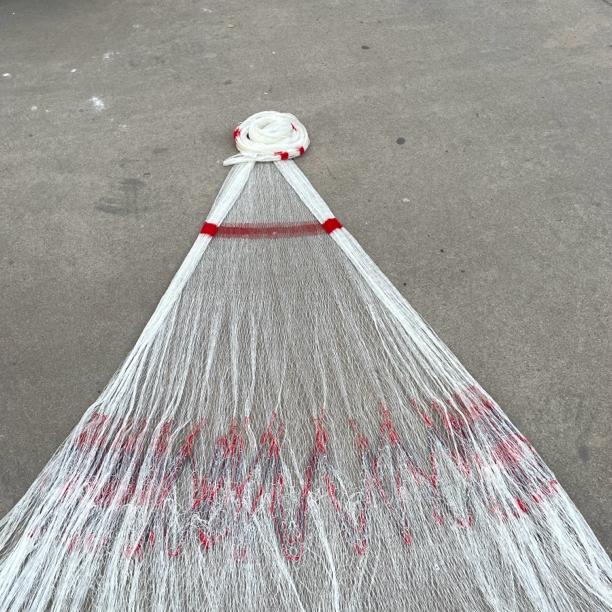 大力马线,两指四米左右高,8.5斤左右一开到顶铅坠机器织,下水不退