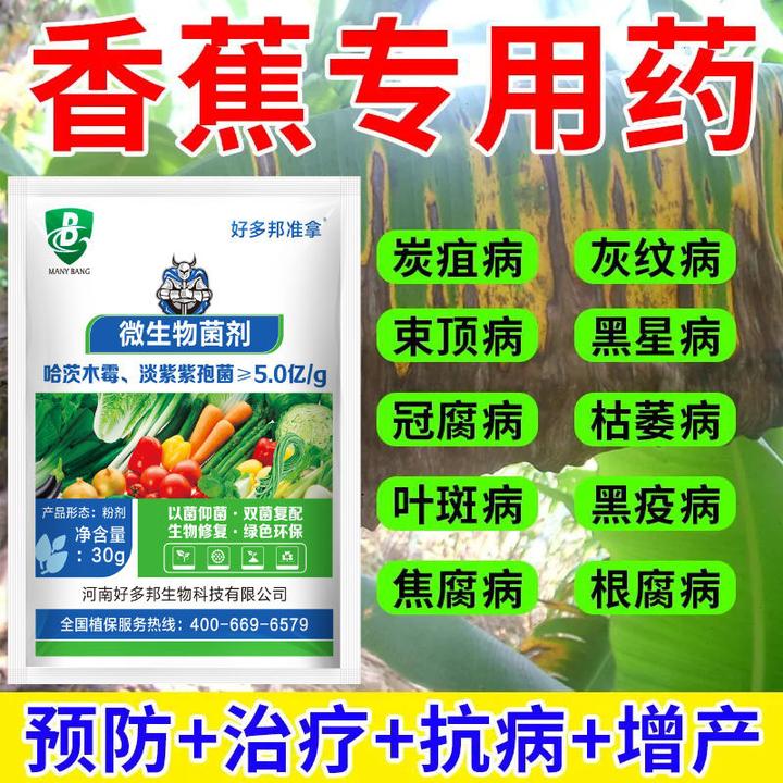 香蕉专用药香蕉病全治香蕉枯萎病黄叶病黑斑病黑星病叶斑病水溶肥