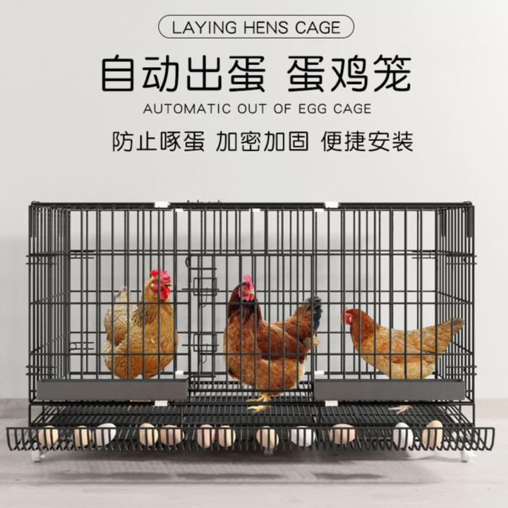 养鸡方便结实镀锌黑色展示热卖加粗养殖鸡笼子易清洗打理拖鸡鸭笼