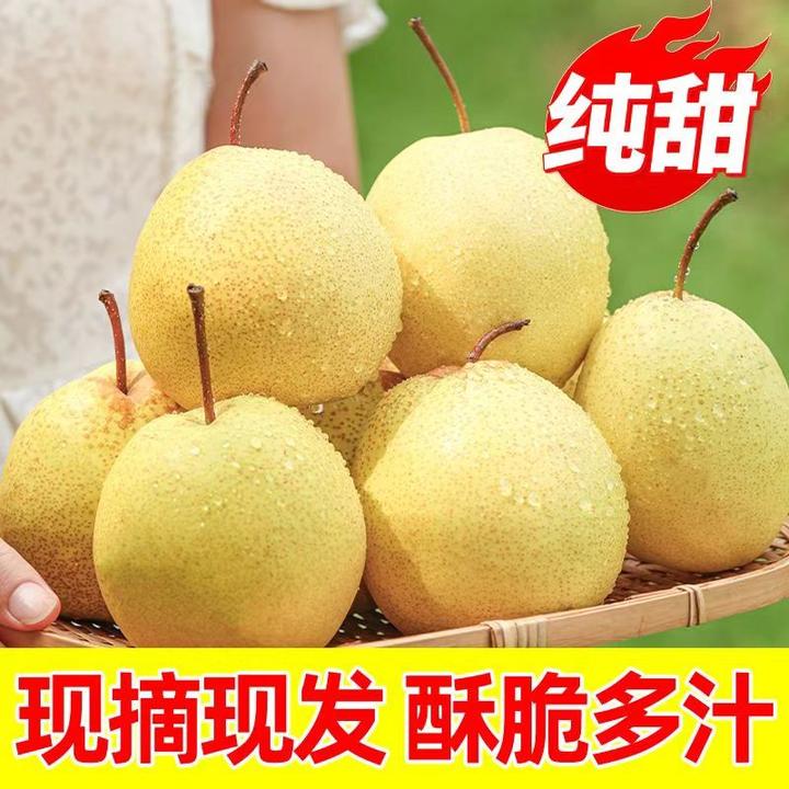 【助农专属】梨正宗山西贡梨酥梨当季水果应季新鲜贡梨整箱批发