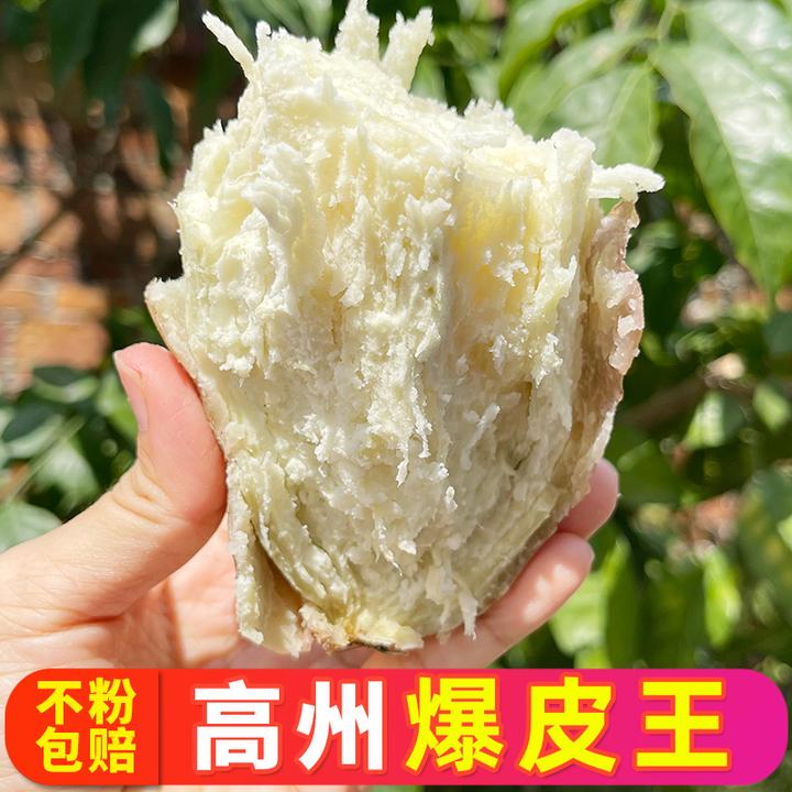 正宗高州爆皮王番薯5斤9【坏果包赔】新鲜现挖白心红薯粉糯香甜地瓜
