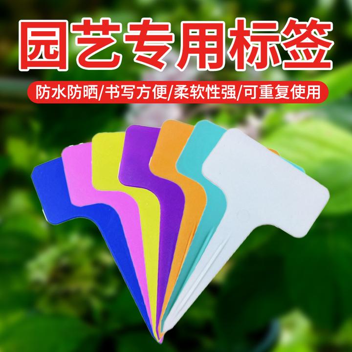 T型多肉标签植物标签园艺标签牌彩色指示牌微景观防水插地牌花卉