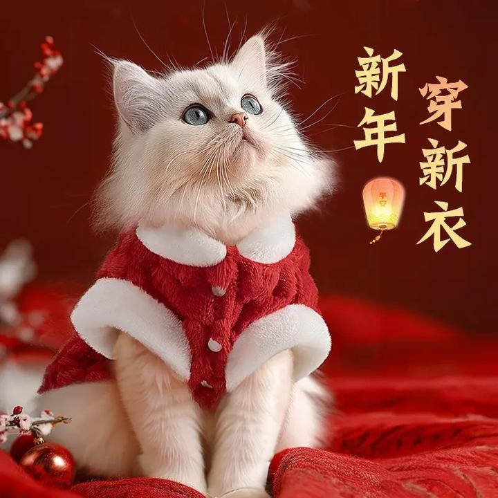 小猫猫咪新春过年衣服加厚保暖加绒宠物马甲背心防掉毛冬季款服装