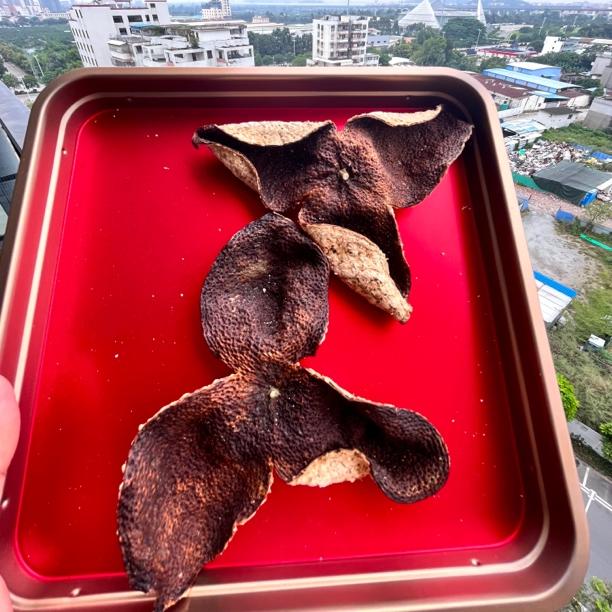 2020年新会小冈驳枝大红陈皮自家果园纯干仓