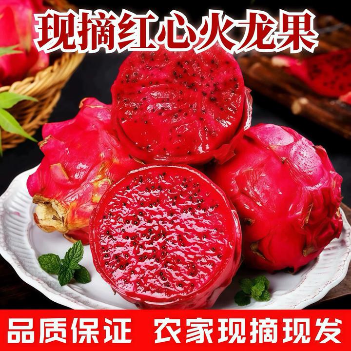 海南正宗新鲜红心火龙果树上熟现摘金都红肉火龙果5斤起