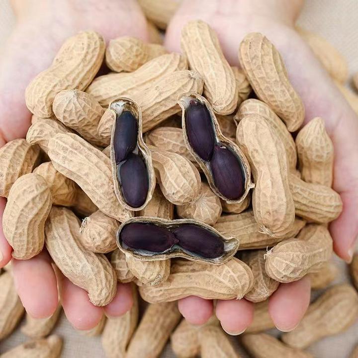富硒黑花生农产品食用手工营养原味天然健康精选