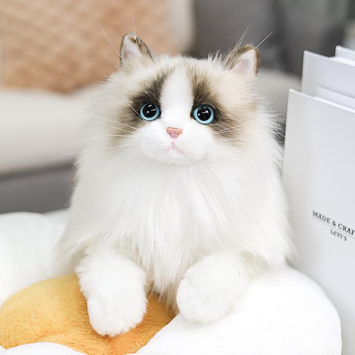 卡豆公仔布偶玩偶猫咪毛绒玩具女孩小可爱娃娃仿真毛绒玩具