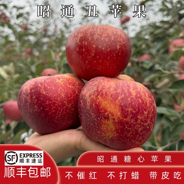 【当季】现摘现发云南昭通高原冰糖心2025甜蜜多汁正宗丑冰糖心苹果