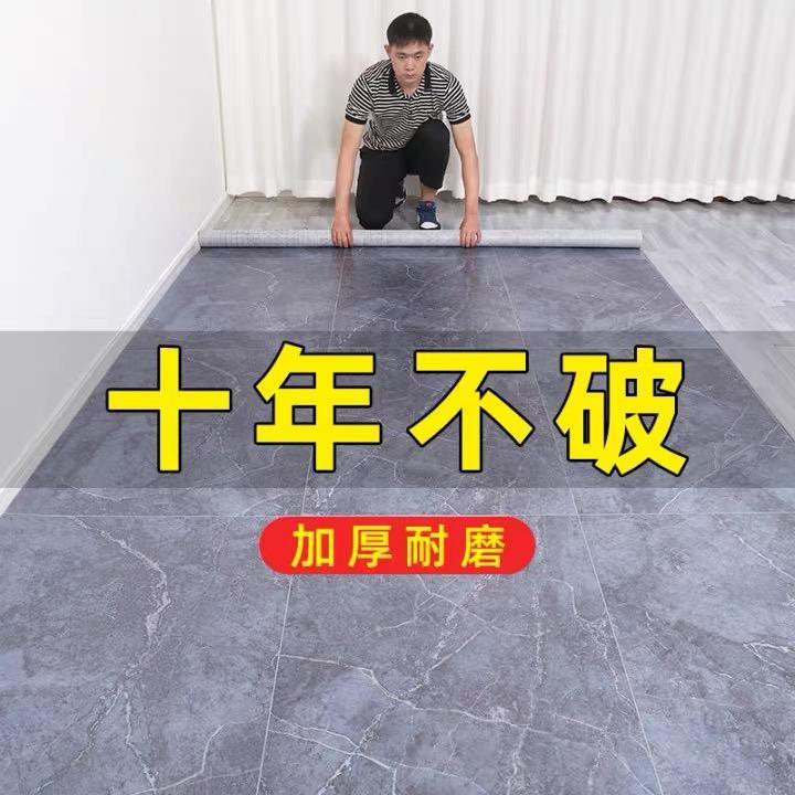加厚地毯卧室地垫大面积全铺家用客厅防水防滑水泥地塑料地毯简约