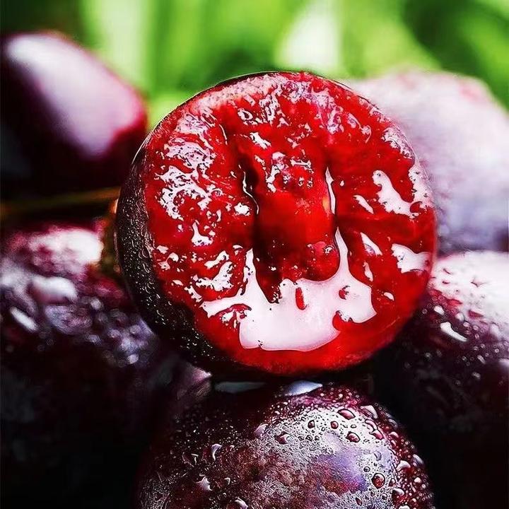 【现货现发】EX智利进口空运桑提娜车厘子J-4J当季新鲜水果整箱