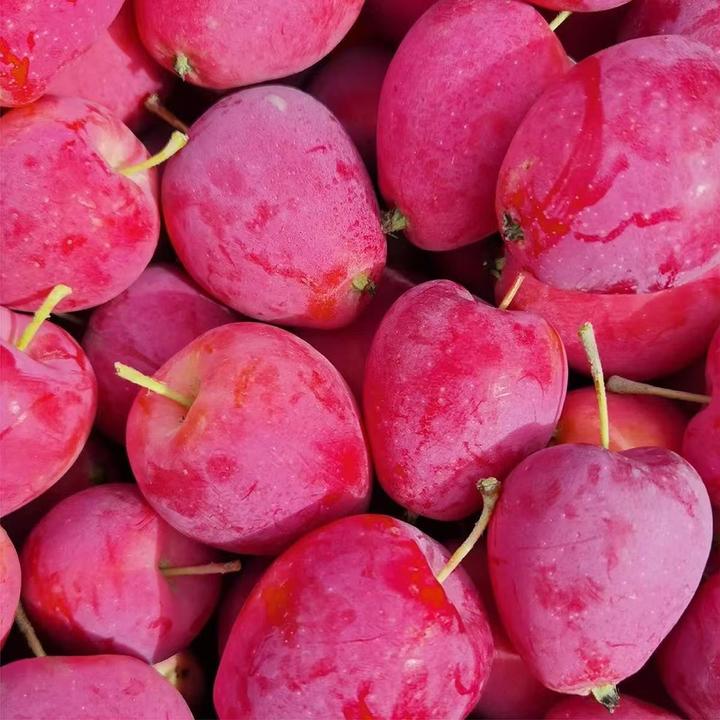 【顺丰包邮】东北特产鸡心果新鲜小苹果锦绣海棠果应季水果脆甜多汁