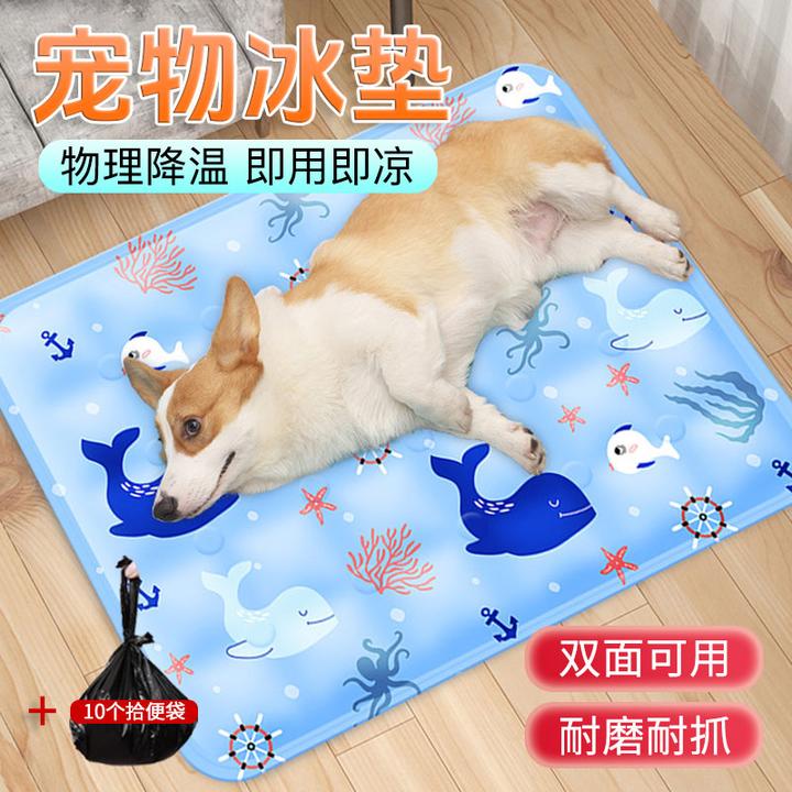 【高温必备 清凉一夏】宠物冰垫狗狗凉席垫猫咪降温窝+10个拾便袋KJ