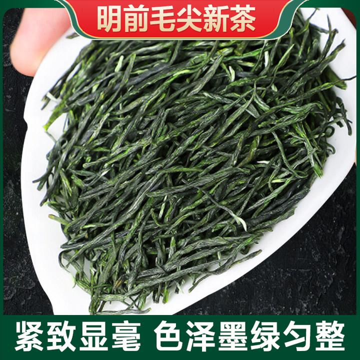 毛尖绿茶2025新茶川版毛尖绿茶浓香耐泡绿茶茶叶四川峨眉山浓香型