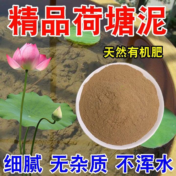 荷塘泥碗莲河泥水养植物营养土淤泥荷花泥铜钱草莲藕土碗莲专用
