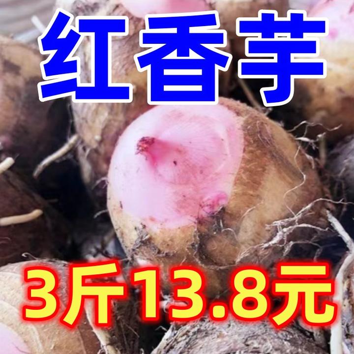 精品红香芋红芽芋头香糯粉嫩小香芋南阳粉糯芋头奶油芋新鲜现挖