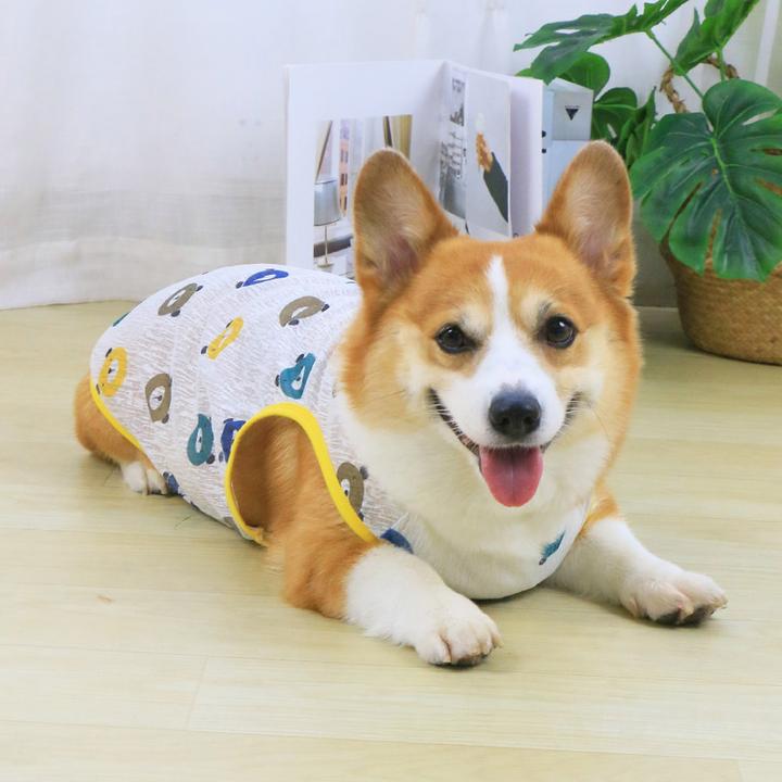 宠物狗狗薄款背心夏天四季衣服防掉毛柯基柴犬泰迪小型狗狗凉凉衣