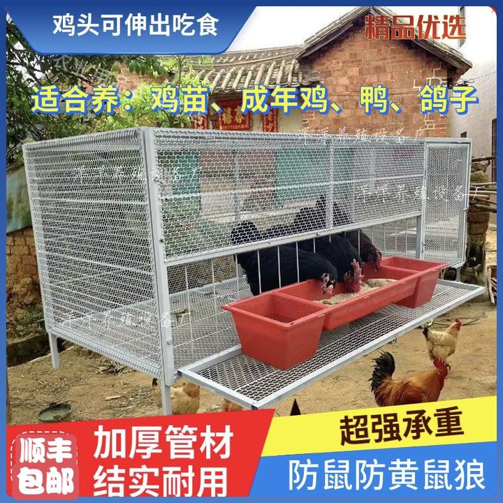 家用鸡笼滚蛋鸡笼家禽笼可探出笼吃食喝水可可防黄鼠狼户外新款