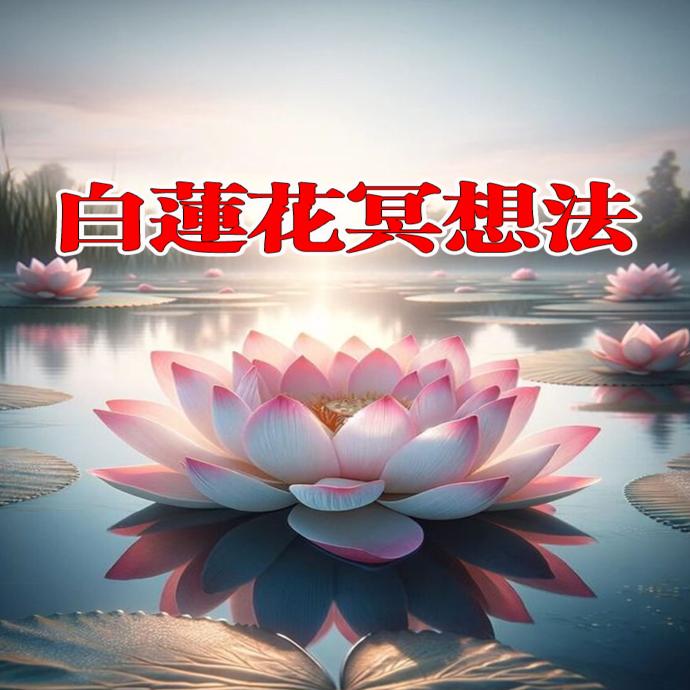 白莲花冥想法