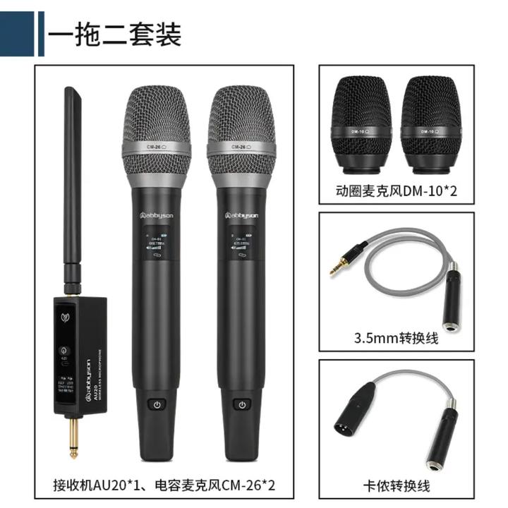 艾博逊AU20一拖二专业无线电容麦克风直播声卡户外音响唱歌
