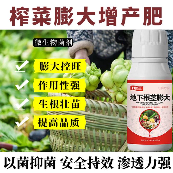 榨菜防病药烂根黄叶白锈病软腐病灰霉霜霉病榨菜病全治农用杀菌剂
