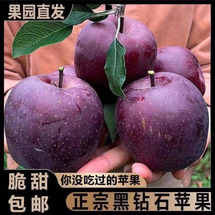 【高端礼盒装】云南昭通黑卡苹果稀有黑钻苹果 4.5-6斤送礼天然脆甜