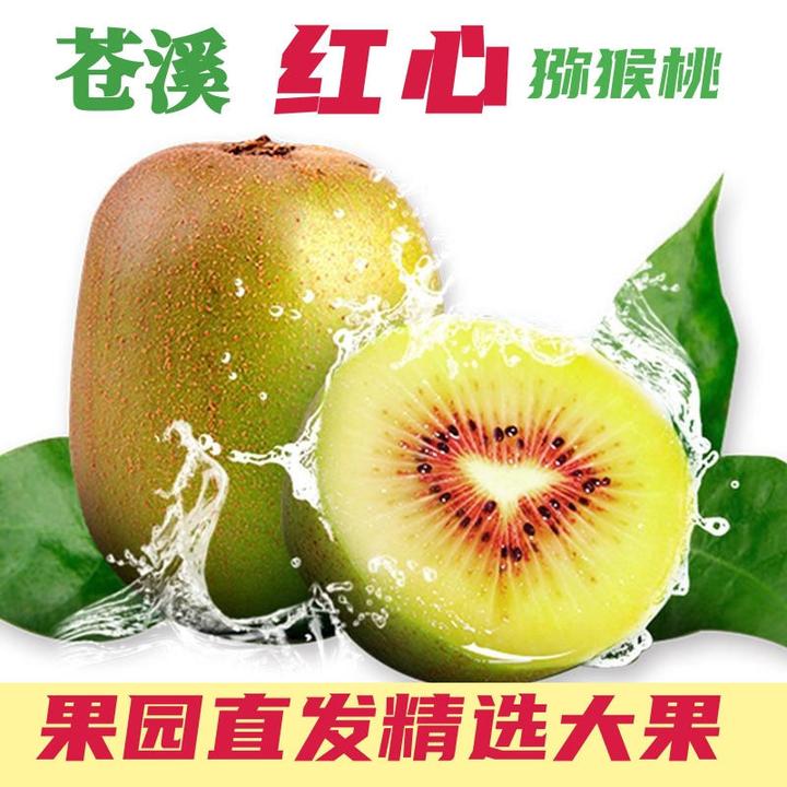 【果王特价】正宗四川苍溪红心猕猴桃新鲜采摘奇异果孕妇儿童水果