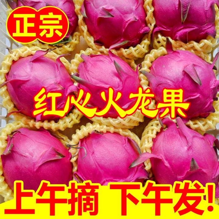 产地直发正宗广西金都一号红心广西火龙果 蜜宝红肉新鲜水果