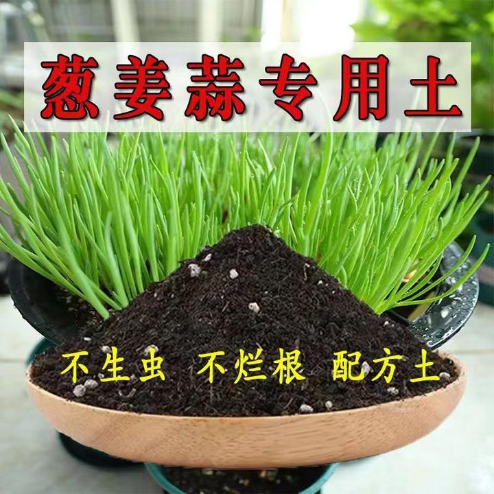 葱姜蒜专用土香葱营养土通用种菜土阳台盆栽通用蔬菜种植土壤肥料