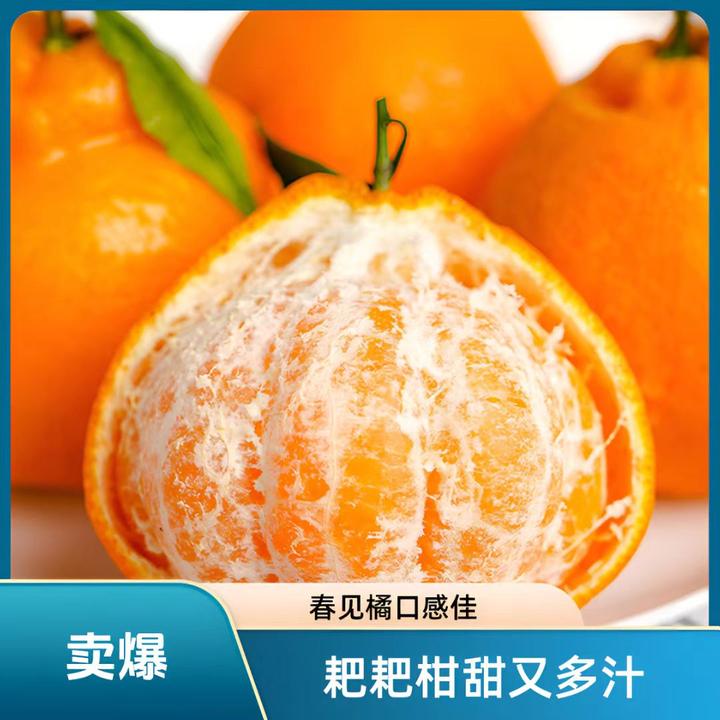 正宗四川春见耙耙柑新鲜水果橘子桔子新鲜采摘颗粒如鱼子酱