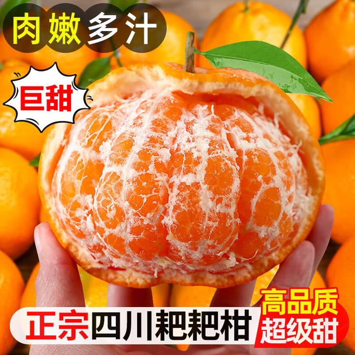 正宗四川耙耙橘子桔子应季新鲜采摘现摘手剥皮颗粒饱满如鱼子酱
