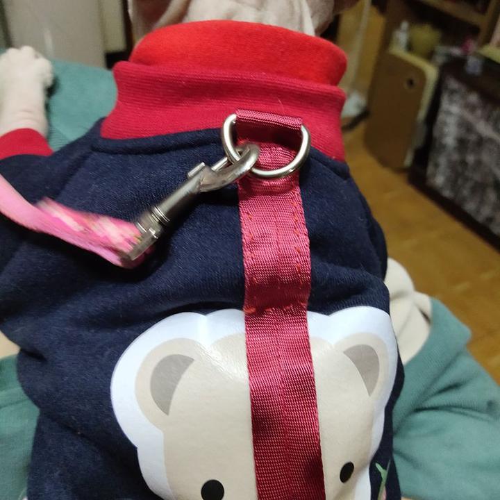 2厘米宽宠物接扣宠物衣服改造可牵引绳挂扣D扣安装可连接牵引绳子