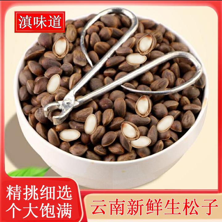 【新货】云南新鲜薄壳松子1/2/4等 原味贵州松子颗粒饱满薄壳生松子