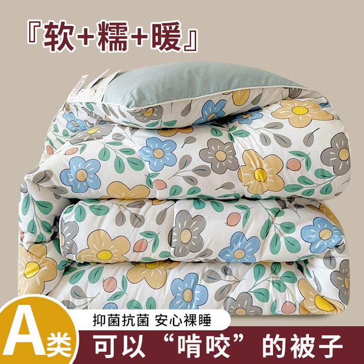 加厚保暖学生宿舍被子春秋被单人四季通用冬被太空被空调被棉被芯