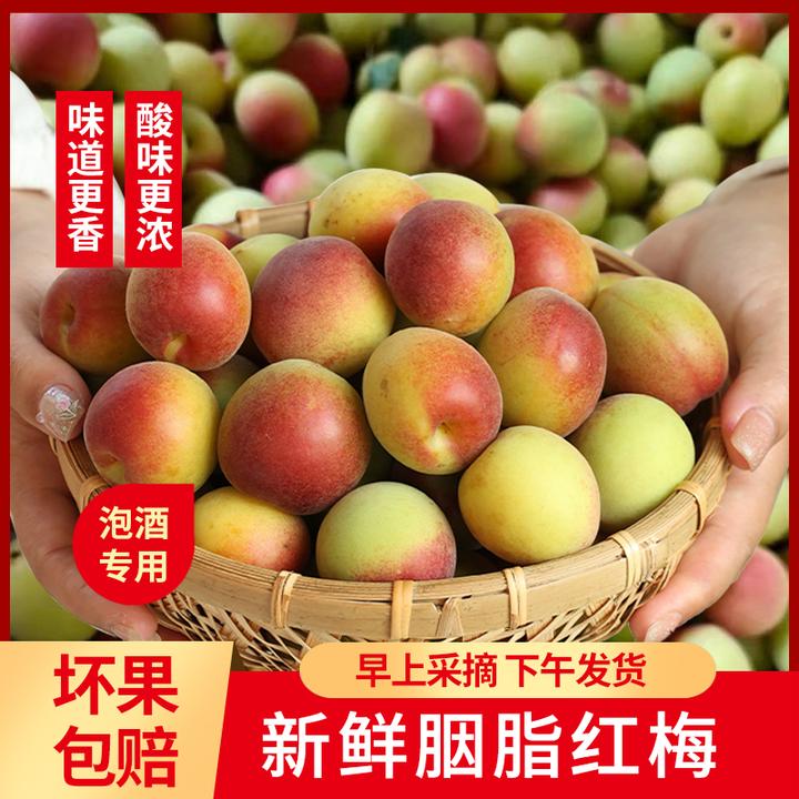 白叶梅精选高山胭脂梅鲜果新鲜现摘红梅胭脂黄梅泡青梅酒做梅子露