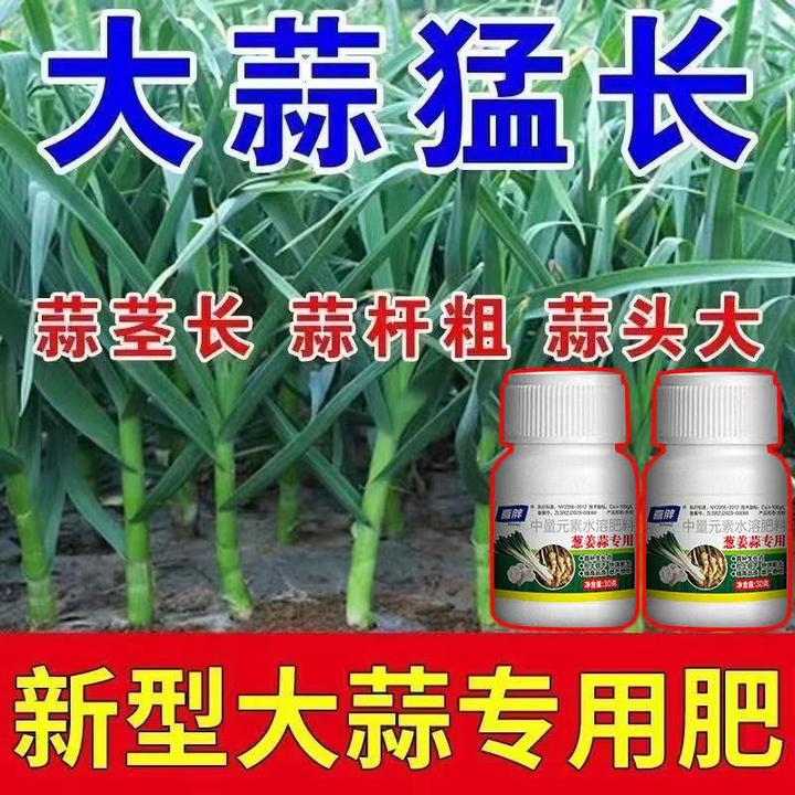 【大蒜猛长大】蒜苗专用肥料大蒜病全治黄叶软腐病毒病白粉病锈病