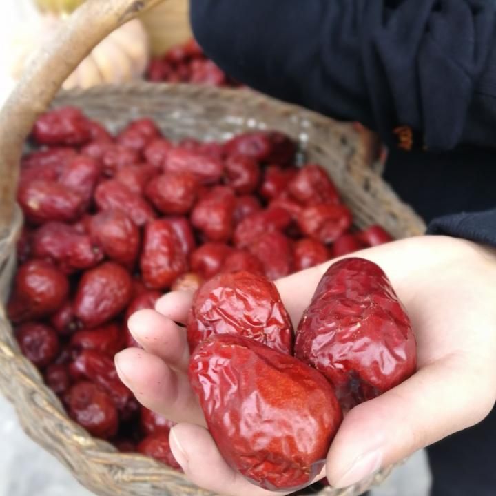 【延黄珍谷】陕西特产陕北一级大狗头枣500g*2袋产地直发4—5.5cm