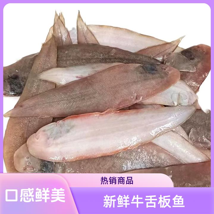 中秋送礼大连新鲜牛舌鱼比目鱼4斤鲜美舌头鱼捕捞龙利鱼鳎目鱼