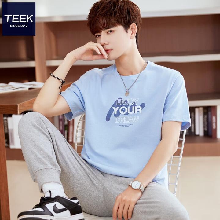 TEEK纯棉短袖t恤男款爆款2025夏季新款半袖衣服青年休闲男装体恤