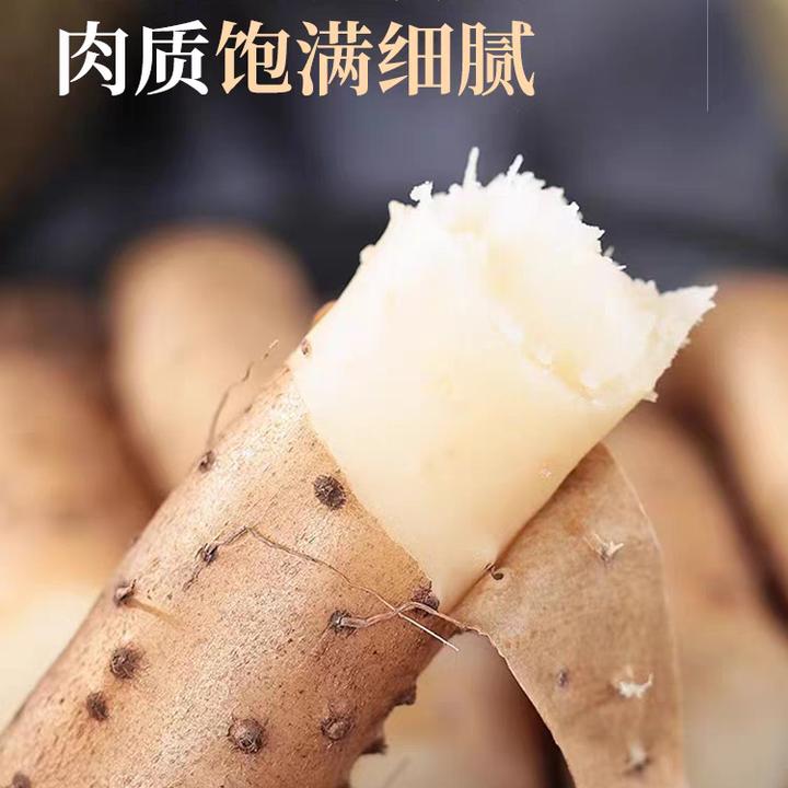 （皮厨大叔）铁棍山药新鲜精品软糯香甜营养高产地直发5斤垆土山药