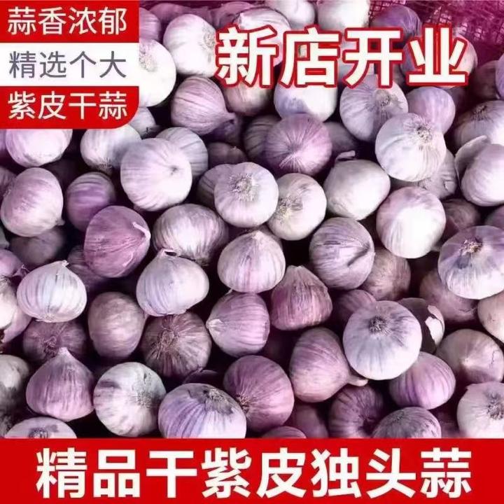 【超低价】正宗紫皮独头蒜新鲜蒜独蒜头新晒干蒜0.5/2/3/5斤包邮