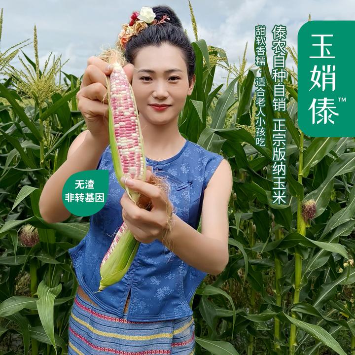 云南西双版纳新鲜拇指甜花糯小玉米手指小花糯低脂代餐真空新鲜