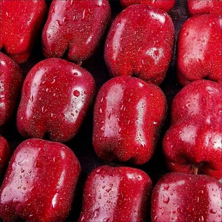 【一果两吃】甘肃天水花牛苹果可刮泥粉面蛇果宝宝辅食3/4.5/8斤ZB