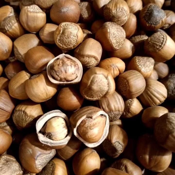 25年新货东北特产大兴安岭榛子山榛子大榛子坚果零食充饥食品