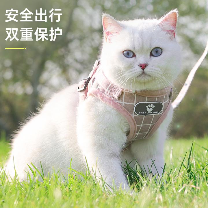 朵猫猫猫咪牵引绳可调节宠物背心挣脱专用外出反光透气出门遛狗