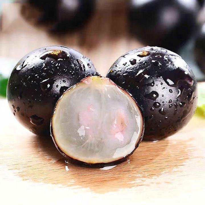 【顺丰速运】稀有嘉宝果新鲜现摘果中贵族高档水果1-5斤装营养好吃