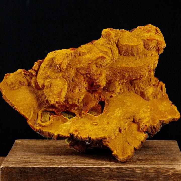 【桑黄】西藏雪域高原农家桑黄菌 不切片不打粉原色原状250克，500克