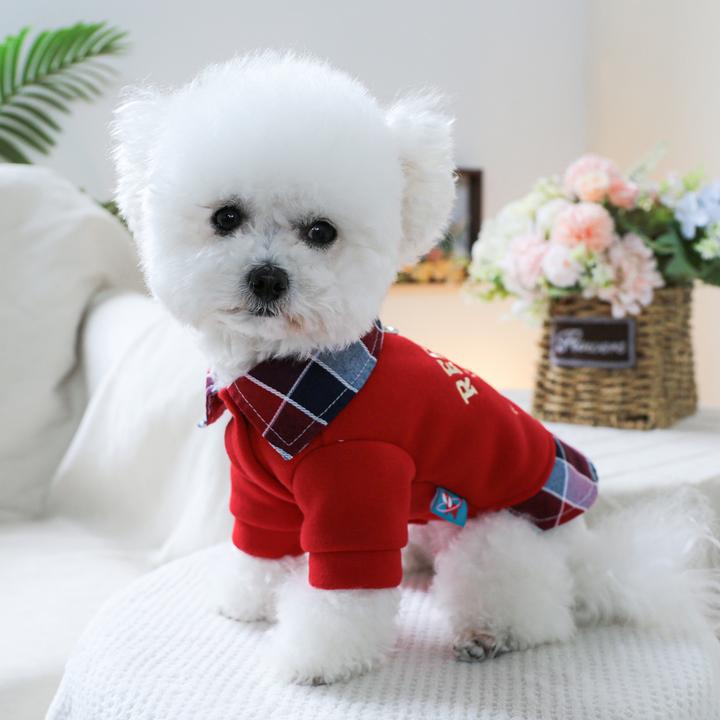 宠物狗狗衣服比熊博美泰迪春秋相机假两件卫衣