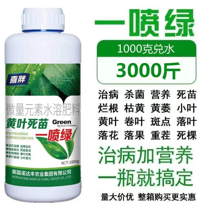 黄叶死苗果树柑橘蔬菜微生物菌剂八角花卉通用叶面肥小叶卷叶