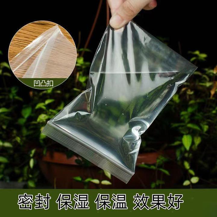 嫁接专用袋嫁接套袋果树保湿密封保温嫁接用套袋子透明透光塑料袋